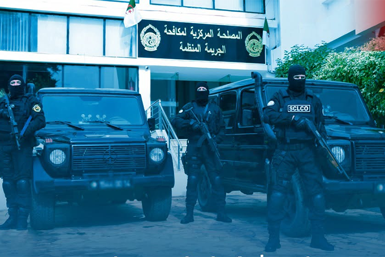 تحقيق جزائري في خسائر ضخمة بقطاع التبغ يعيد تسليط الضوء على استثمارات إماراتية في السوق المحلية
