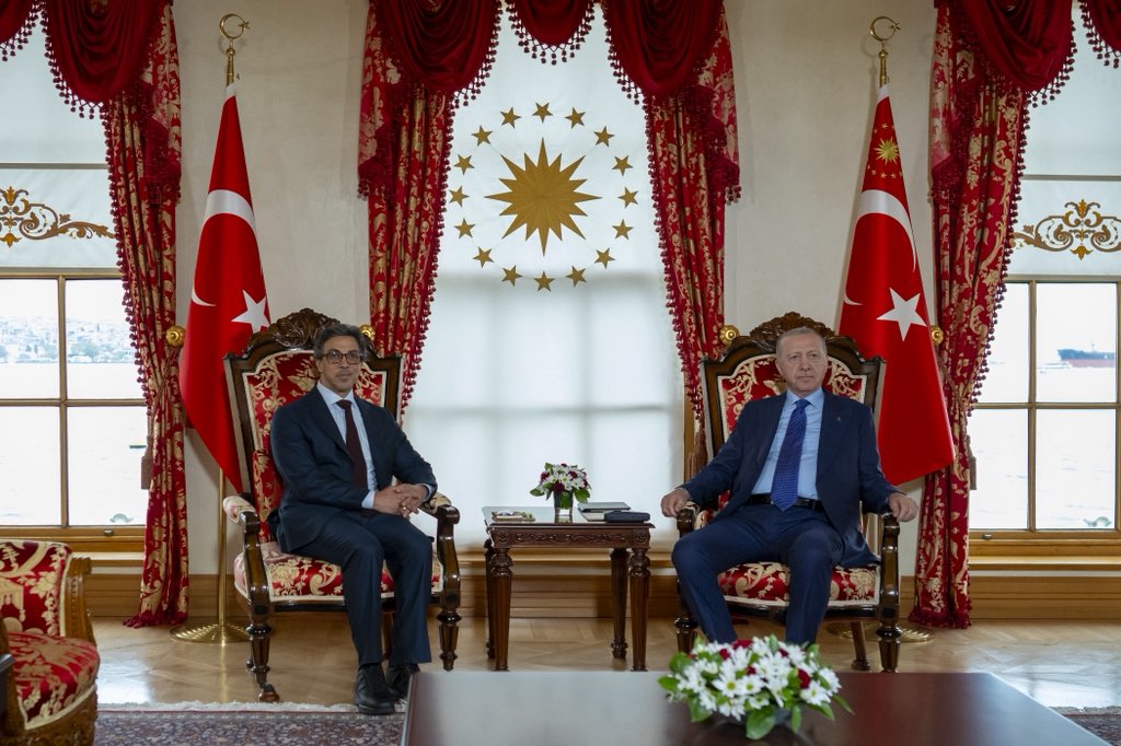 منصور بن زايد وأردوغان يبحثان تعزيز الشراكة الإماراتية التركية وتطورات المنطقة