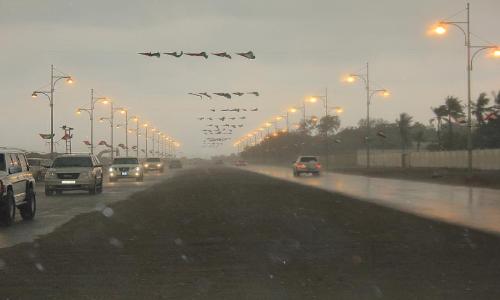 الأمطار تعم مناطق مختلفة من الساحل الشرقي للدولة 