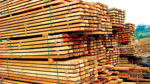 الإمارات الأولى عربيًا في استيراد الأخشاب الأمريكية