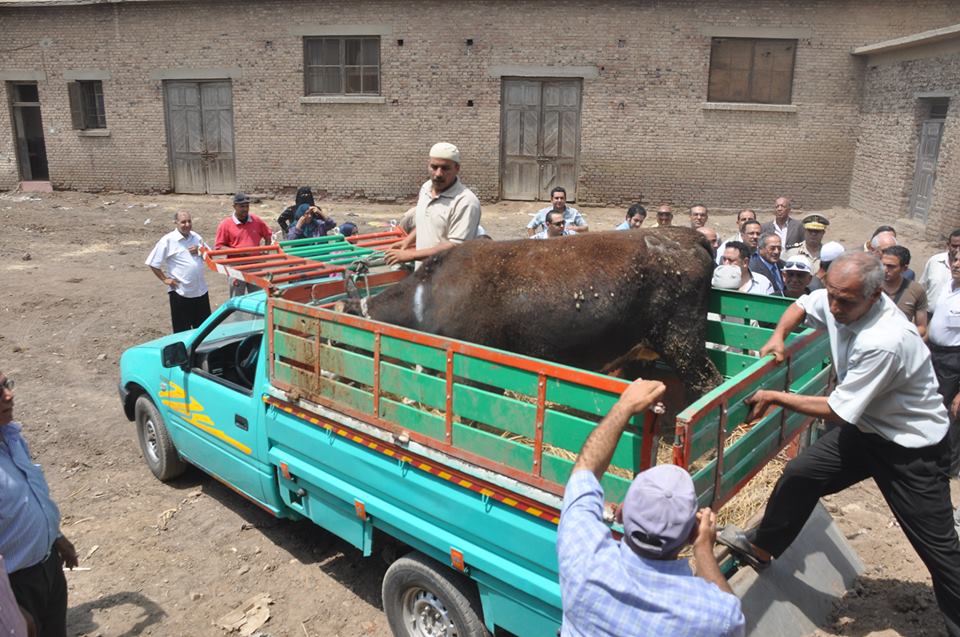 الإمارات تقدم مساعدات لصغار المزارعين المصريين